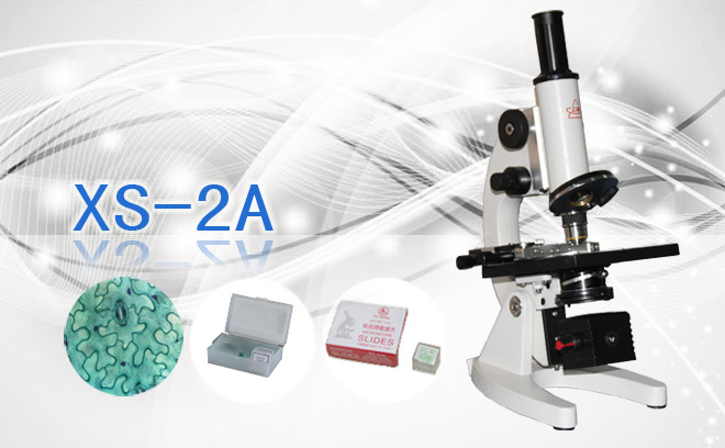 单目生物显微镜XS-2A