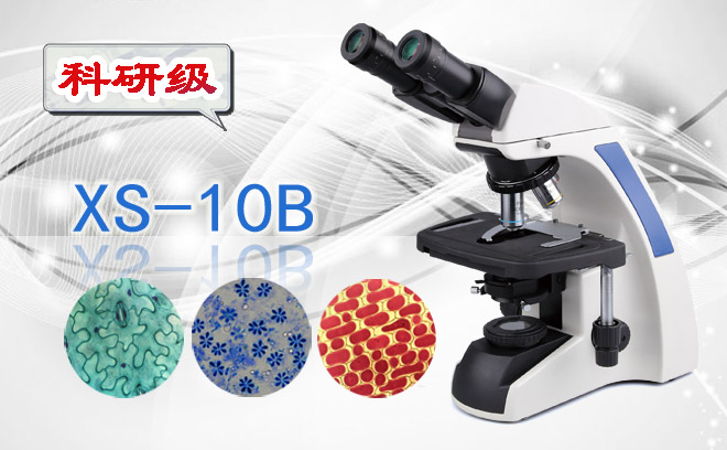 双目生物显微镜XS-10B