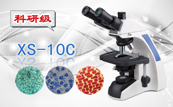 三目生物显微镜XS-10C
