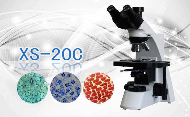 三目生物显微镜XS-20C