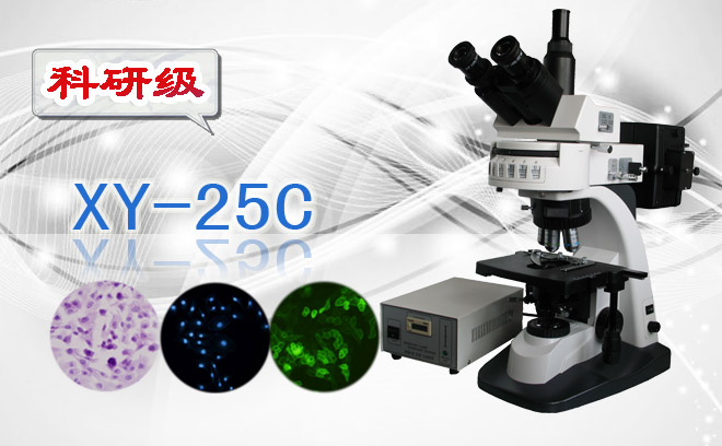 三目荧光显微镜XS-25C