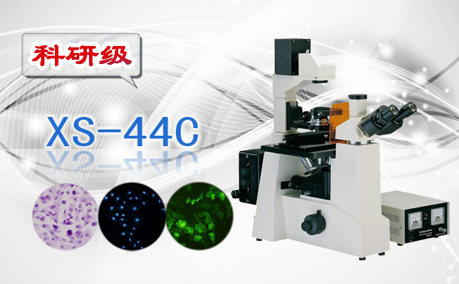 三目倒置荧光显微镜XS-44C